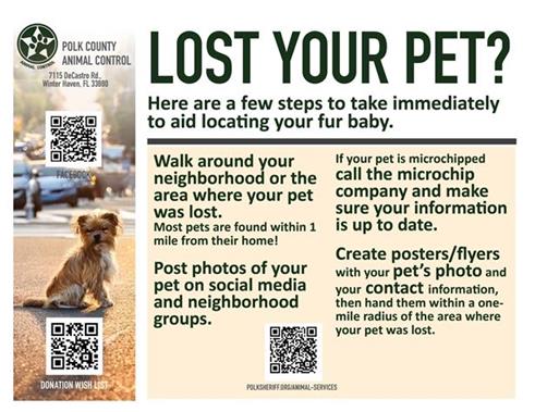 Lost Pet graphic 2026